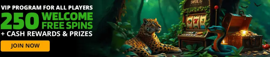 Wild Casino